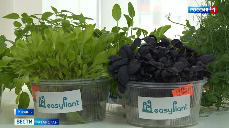 Тысячи казанцев не смогли оплатить проезд в метро банковскими картами