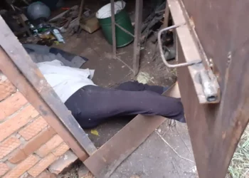 В Нижнекамском районе помощь спасателей понадобилась застрявшему в гараже мужчине