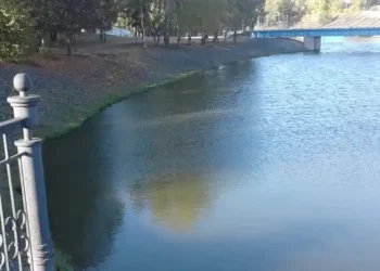 В Альметьевском районе экологи взяли пробы из водоема с пеной на поверхности