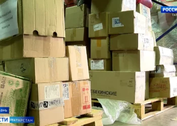 Автоинспекторы усилили контроль за пешеходными переходами в Казани