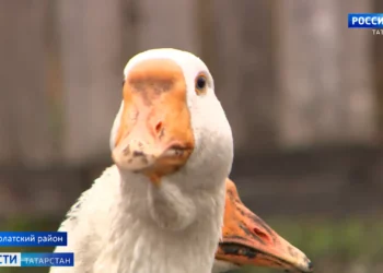 Жители Татарстана смогли увидеть редкое солнечное затмение