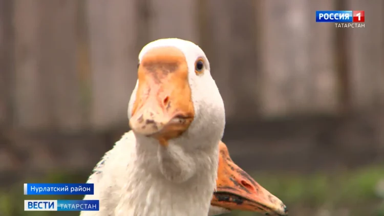 Жители Татарстана смогли увидеть редкое солнечное затмение