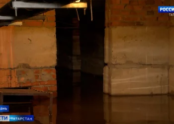 Благотворители из Бугульмы подверглись цифровой атаке