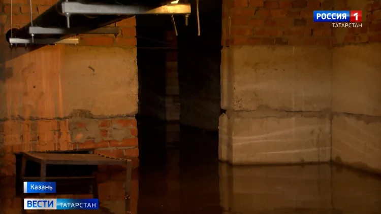 Благотворители из Бугульмы подверглись цифровой атаке