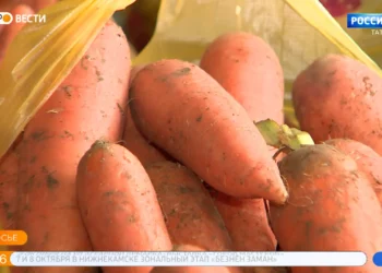 Благотворительный фонд «Закят» раздал нуждающимся семьям 14,5 тонн гушр-садаки