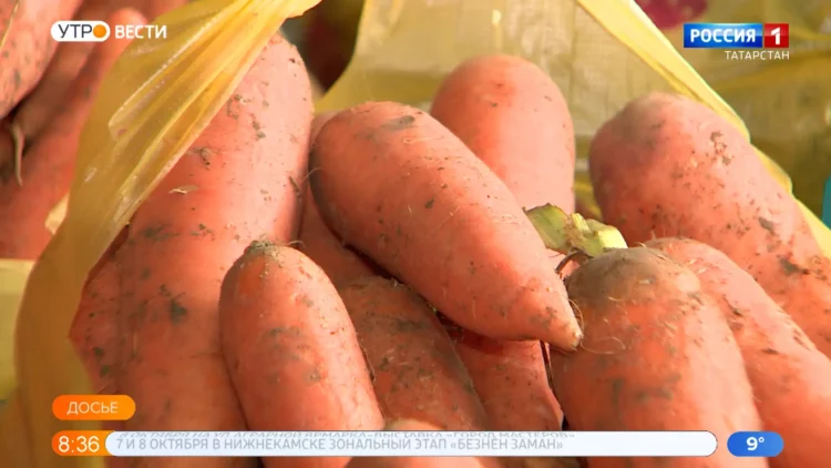 Благотворительный фонд «Закят» раздал нуждающимся семьям 14,5 тонн гушр-садаки