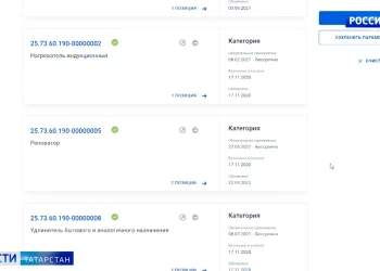 Благотворители из Бугульмы подверглись цифровой атаке