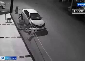 Начало зимнего сезона: ГИБДД призывает автомобилистов сменить шины