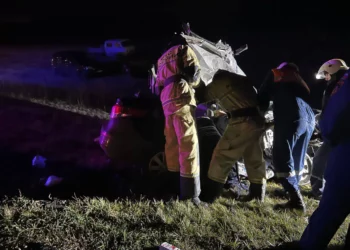 Кабан спровоцировал смертельную аварию с фурой и легковушкой на трассе в Татарстане