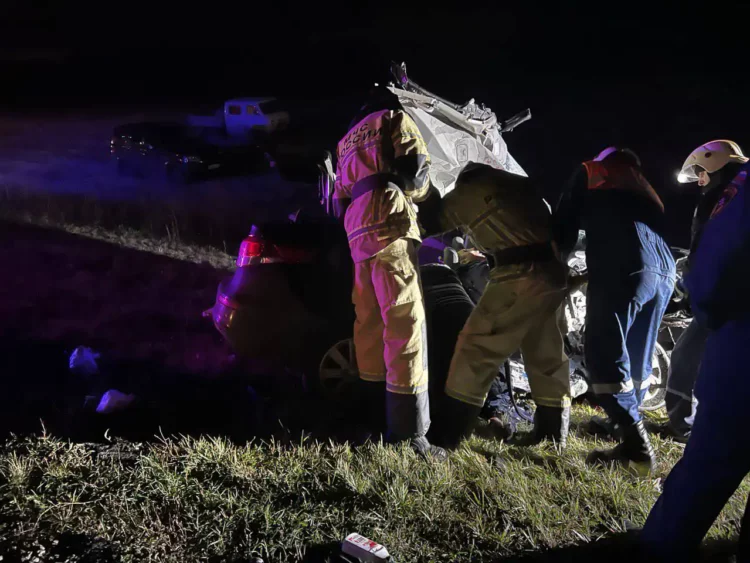 Кабан спровоцировал смертельную аварию с фурой и легковушкой на трассе в Татарстане