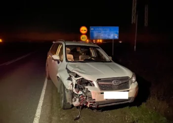 В Альметьевском районе водитель иномарки насмерть сбил дорожного рабочего