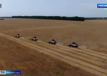 Стала известна дата проведения Дня урожая в Татарстане