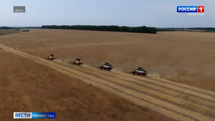 Стала известна дата проведения Дня урожая в Татарстане