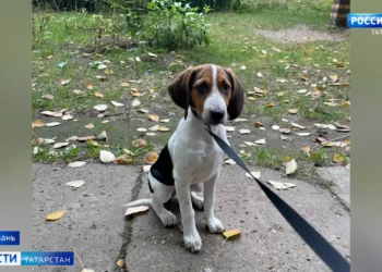 Серийный маньяк Игорь Птицин приговорен к пожизненному сроку