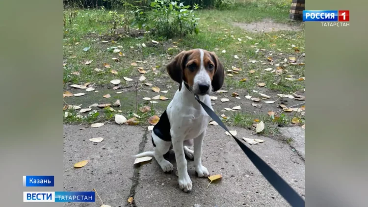 Серийный маньяк Игорь Птицин приговорен к пожизненному сроку