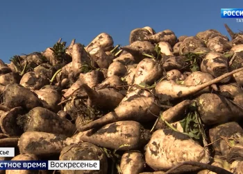 Минниханов заявил о необходимости сохранения масочного режима