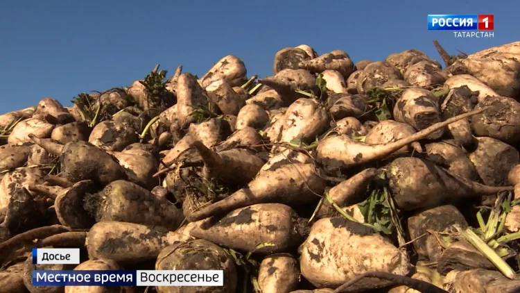 Минниханов заявил о необходимости сохранения масочного режима