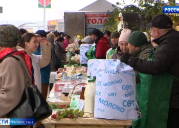 Ветераны женской волейбольной сборной Татарстана стали лучшими в России