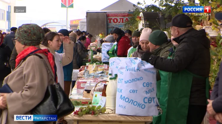 Ветераны женской волейбольной сборной Татарстана стали лучшими в России