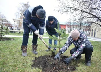 В Буинском районе по нацпроекту посадили более пяти тысяч деревьев