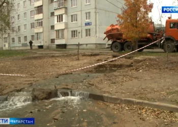 В Зеленодольском районе готовы выпустить 40 маралов в естественную среду обитания