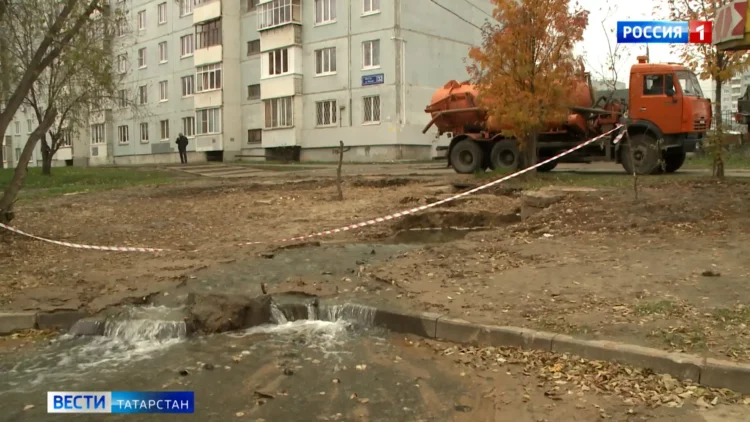 В Зеленодольском районе готовы выпустить 40 маралов в естественную среду обитания