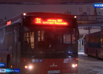 Роспотребнадзор: Татарстан ждет сложный эпидемиологический сезон из-за свиного гриппа