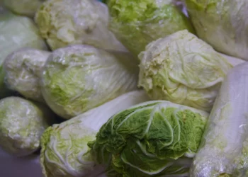 Международный день вегана: плюсы и минусы жизни без мяса