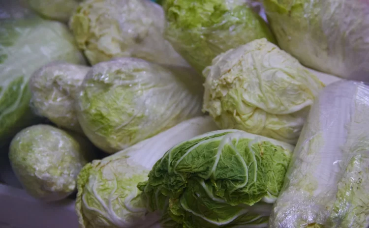 Международный день вегана: плюсы и минусы жизни без мяса