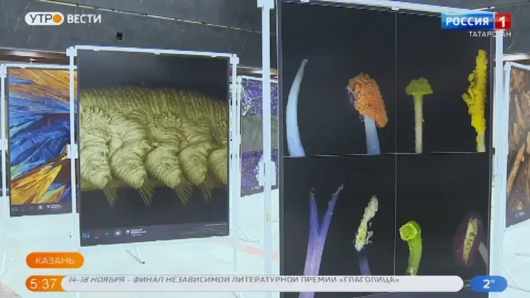 В КФУ открылась выставка лучших научных снимков года