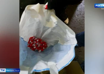 Кооперативы Татарстана направили гуманитарную помощь жителям Донбасса