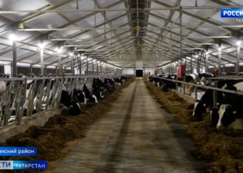 Индекс промышленного производства в Казани за 9 месяцев вырос на 8,8%