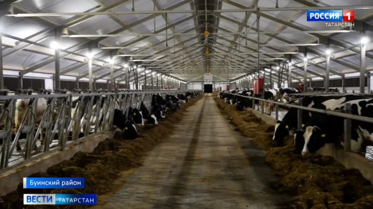 Индекс промышленного производства в Казани за 9 месяцев вырос на 8,8%