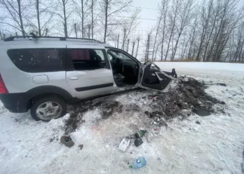 Татарстанец избил знакомого кирпичом и хотел утопить, но попал в ДТП