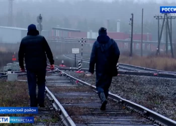 Метшин: семьи участников спецоперации получат все положенные меры соцподдержки