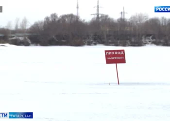 В Татарстане ожидается сложная ситуация по гриппу