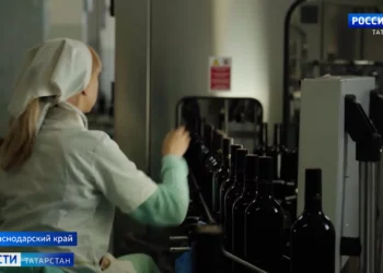 Перевозчики Казани просят повысить стоимость проезда на автобусе