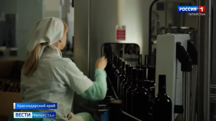 Перевозчики Казани просят повысить стоимость проезда на автобусе