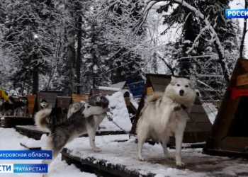 В Рыбно-Слободском районе мужчина вынес из горящего дома женщину-инвалида