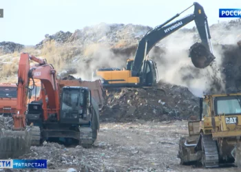 Роспотребнадзор: Татарстан ждет сложный эпидемиологический сезон из-за свиного гриппа