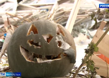 Хоспис имени Анжелы Вавиловой нуждается в помощи