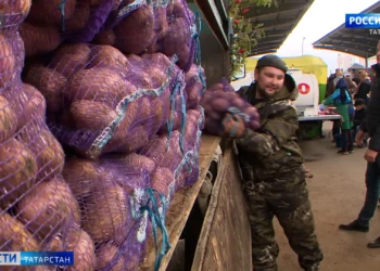 Татарстанцев ждут на традиционных сельхозярмарках
