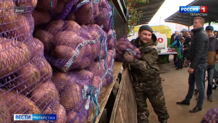 Татарстанцев ждут на традиционных сельхозярмарках