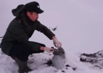 В Сармановском районе обнаружили разлив нефти