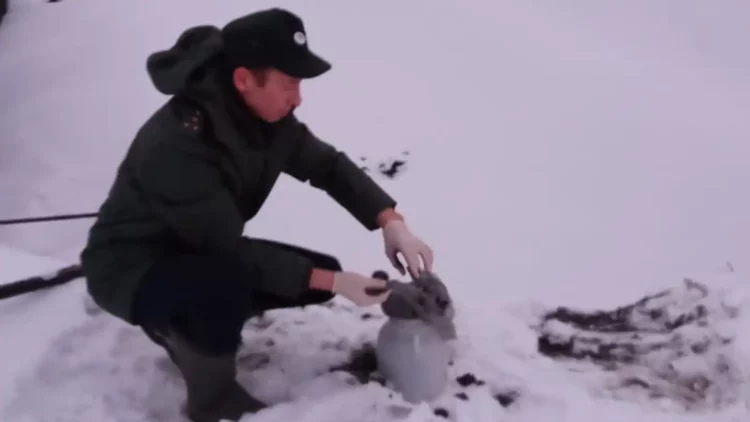 В Сармановском районе обнаружили разлив нефти