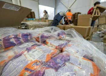 Семьи мобилизованных из Татарстана получат запас бытовой химии