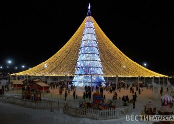 В Казани 20 декабря откроют главную елку у Чаши