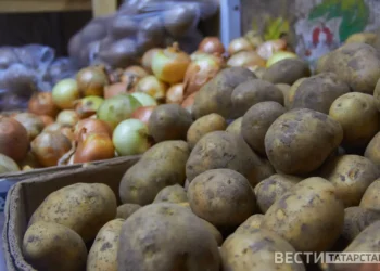 В Татарстане подешевело свежее мясо, но подорожали некоторые овощи
