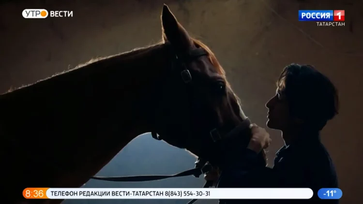 В Казани прошел предпремьерный показ фильма «Тарлан»