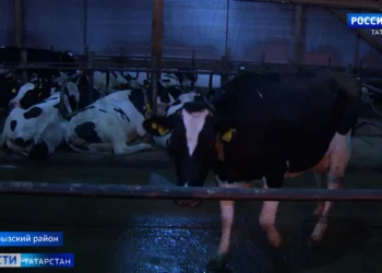 Минниханов открыл международный форум ЮНЕСКО